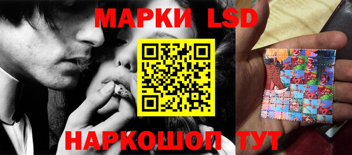 Новозыбков  Лсд 25 экстази ecstasy  Вход с VPN  omg tor  ЛСД экстази кислота 