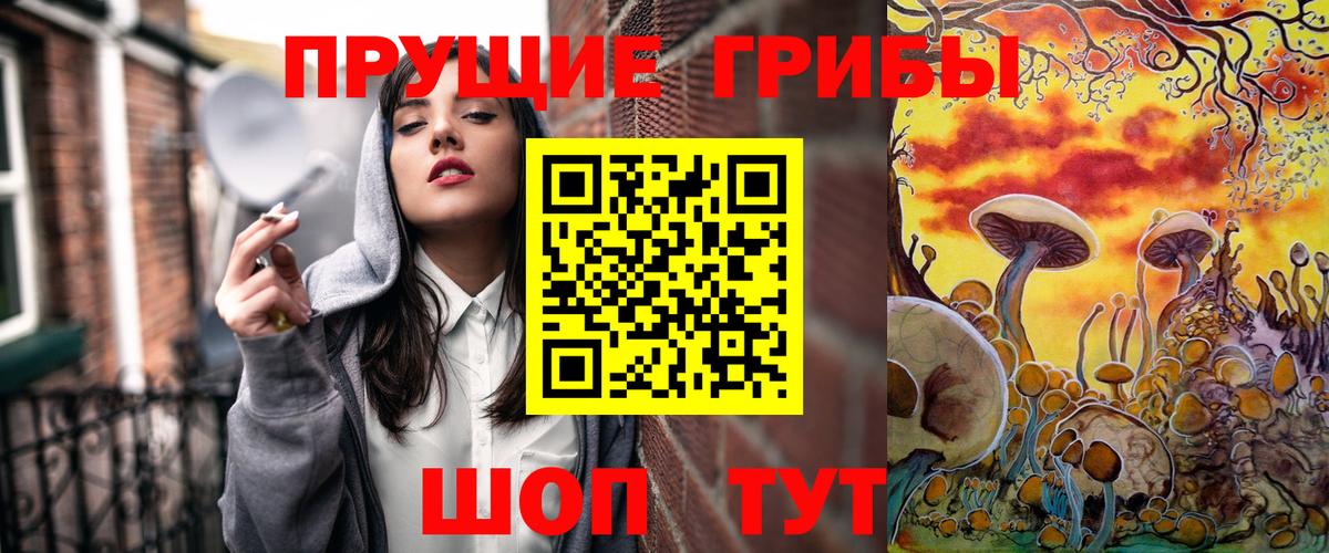 Галлюциногенные грибы мицелий  Псилоцибиновые грибы GOLDEN TEACHER  Новозыбков  Вход с VPN 