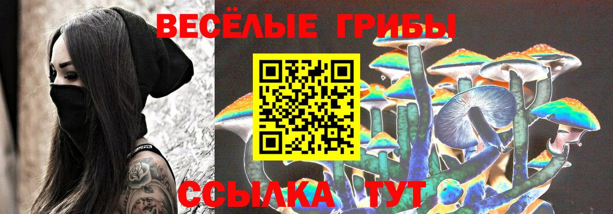 Галлюциногенные грибы ЛСД Новозыбков